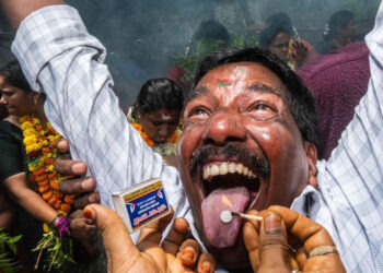 IPF Portrait Prize 2025 Winners