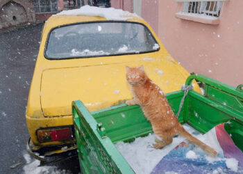 Istanbul Street Photography by Sami Ucan