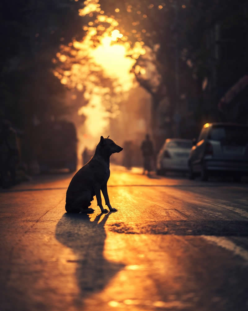 Street Photography with Perfect Light by Ashraful Arefin