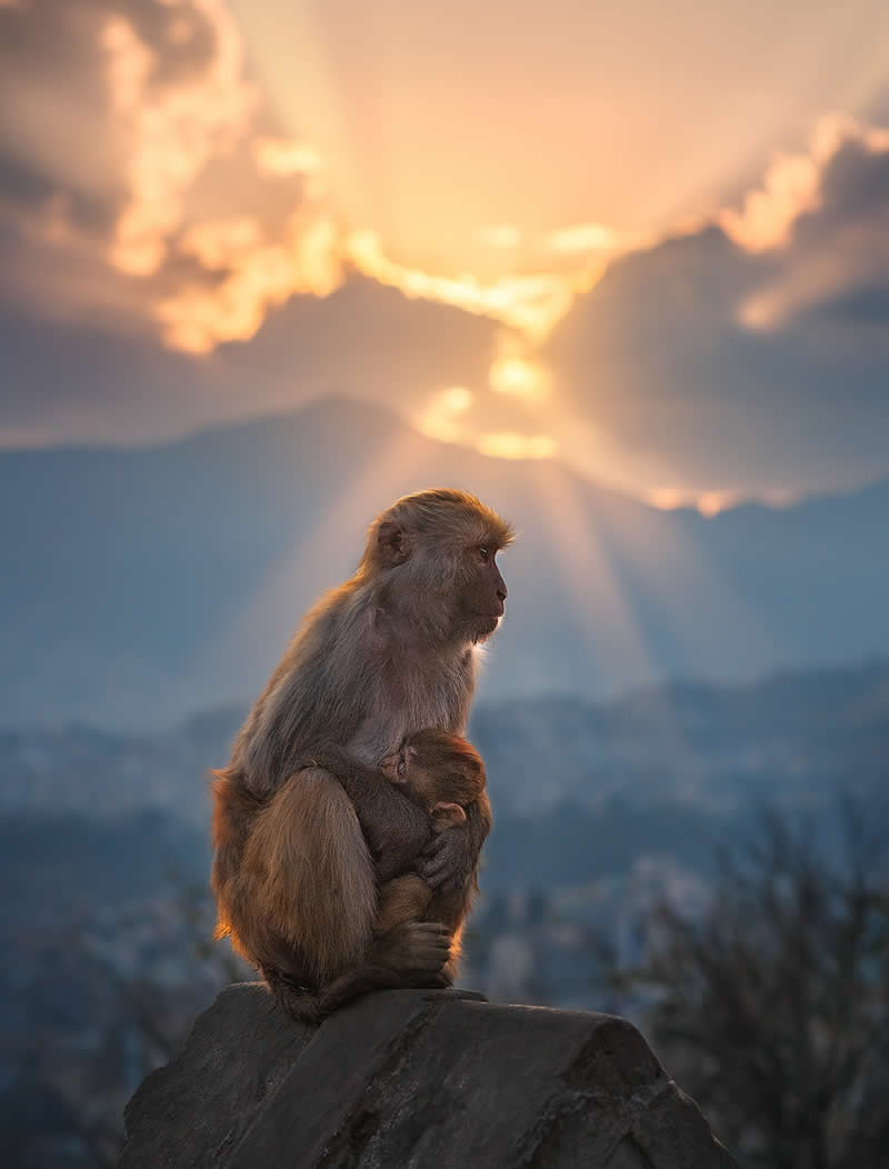 Street Photography with Perfect Light by Ashraful Arefin
