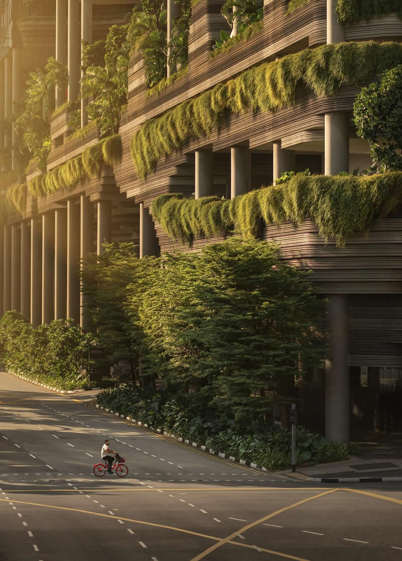 Street Photography with Perfect Light by Ashraful Arefin