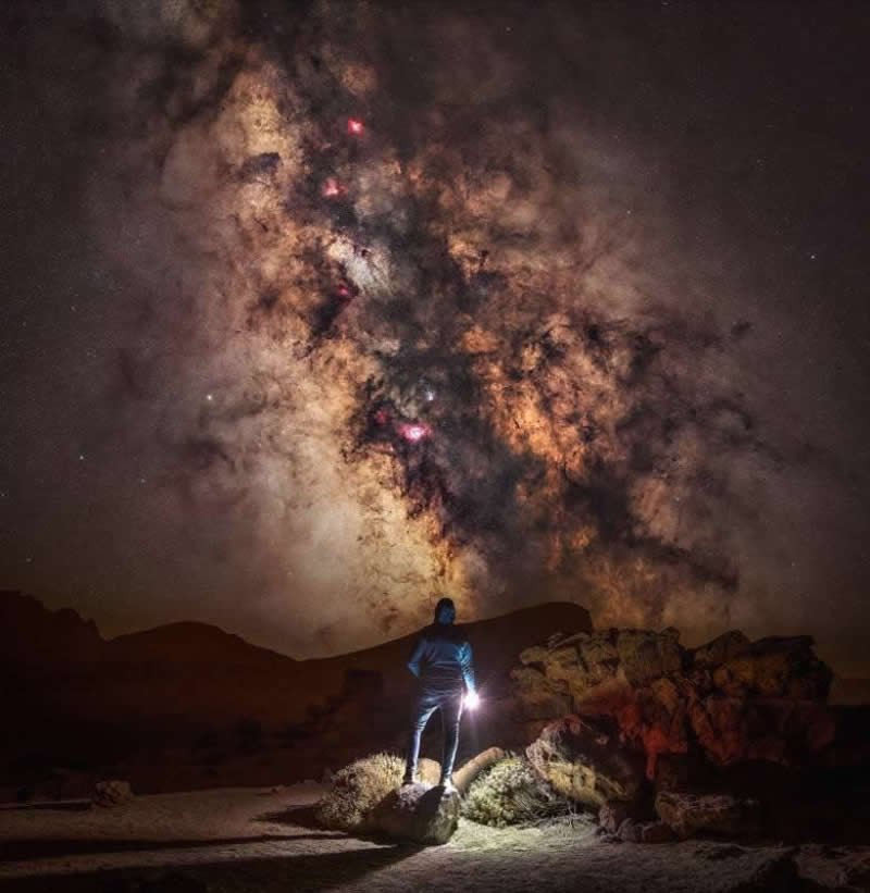 London Camera Exchange Photographer of the Year 2025 Winners