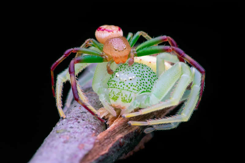 London Camera Exchange Photographer of the Year 2025 Winners