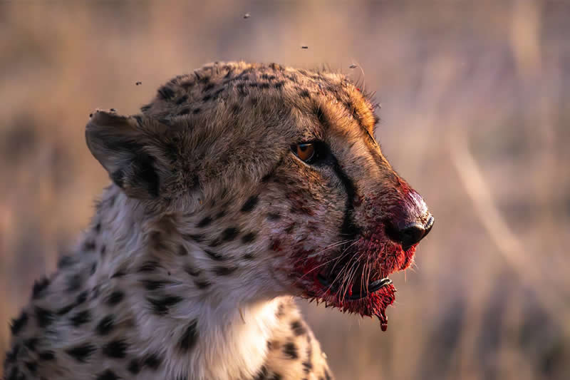 London Camera Exchange Photographer of the Year 2025 Winners