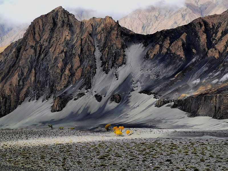 Landscape and Wildlife Photos from the Mobile Photography Awards