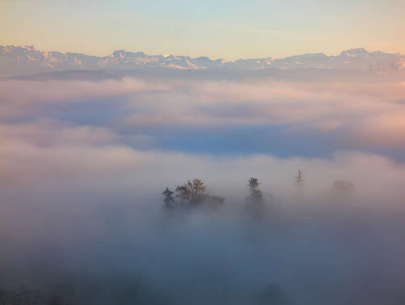 Landscape and Wildlife Photos from the Mobile Photography Awards