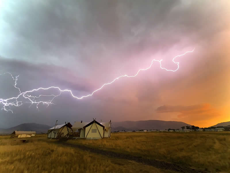 Landscape and Wildlife Photos from the Mobile Photography Awards