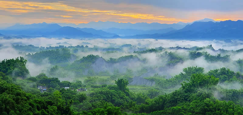 Landscape and Wildlife Photos from the Mobile Photography Awards