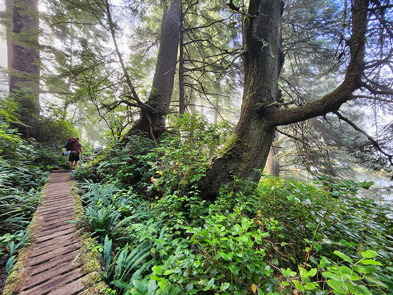 Landscape and Wildlife Photos from the Mobile Photography Awards