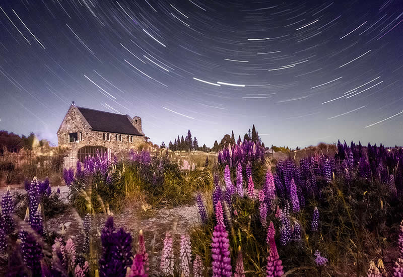 Landscape and Wildlife Photos from the Mobile Photography Awards