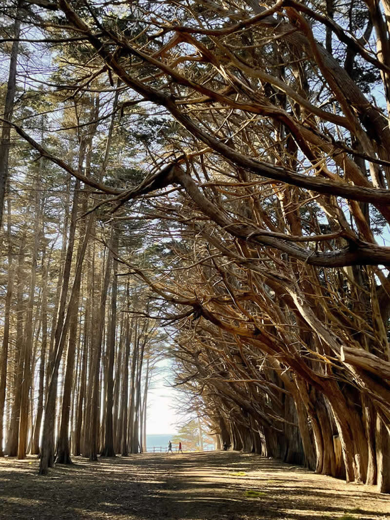 Landscape and Wildlife Photos from the Mobile Photography Awards