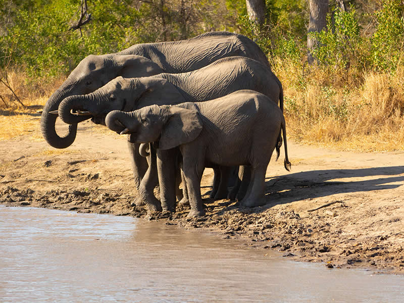 Landscape and Wildlife Photos from the Mobile Photography Awards