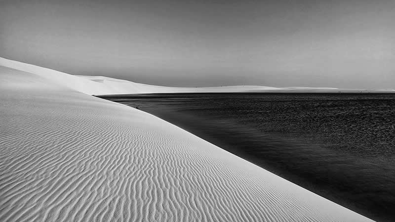 Landscape and Wildlife Photos from the Mobile Photography Awards