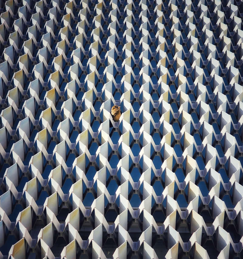 Landscape and Wildlife Photos from the Mobile Photography Awards