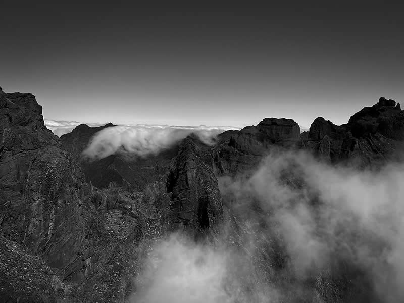 Landscape and Wildlife Photos from the Mobile Photography Awards