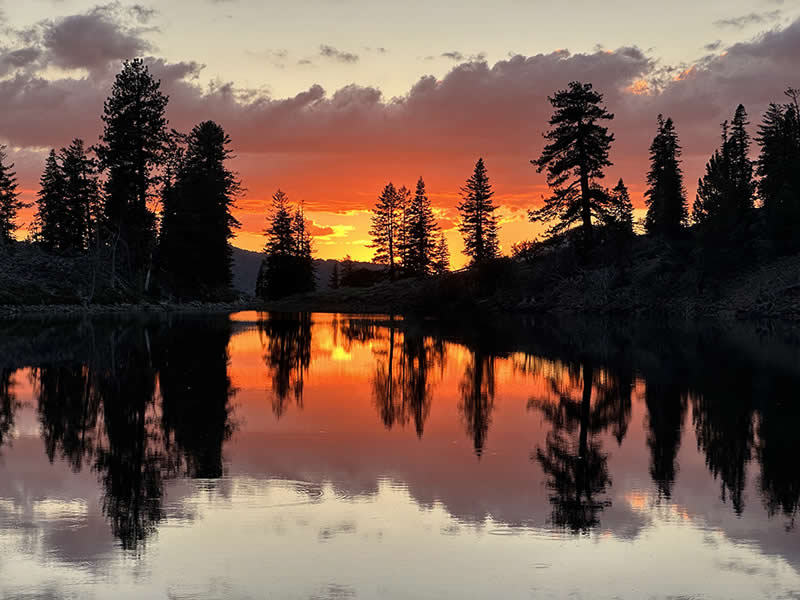 Landscape and Wildlife Photos from the Mobile Photography Awards