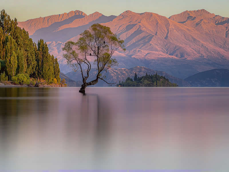 Landscape and Wildlife Photos from the Mobile Photography Awards