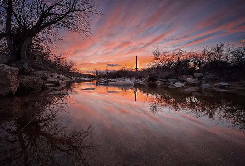 Landscape and Wildlife Photos from the Mobile Photography Awards