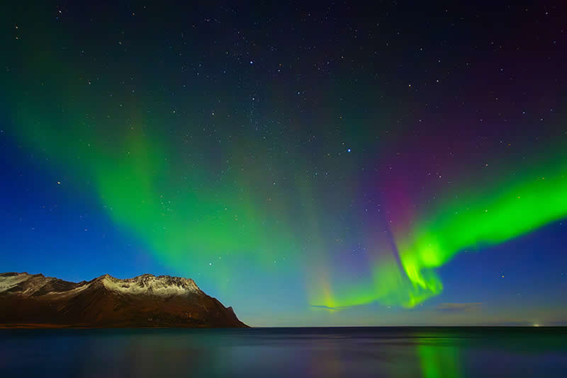 Landscape and Wildlife Photos from the Mobile Photography Awards