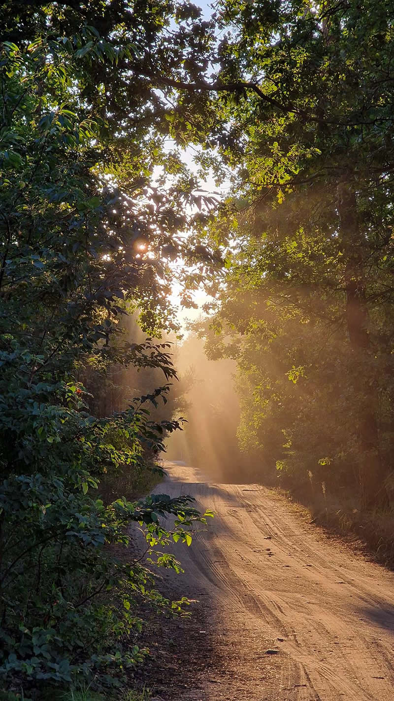 Landscape and Wildlife Photos from the Mobile Photography Awards