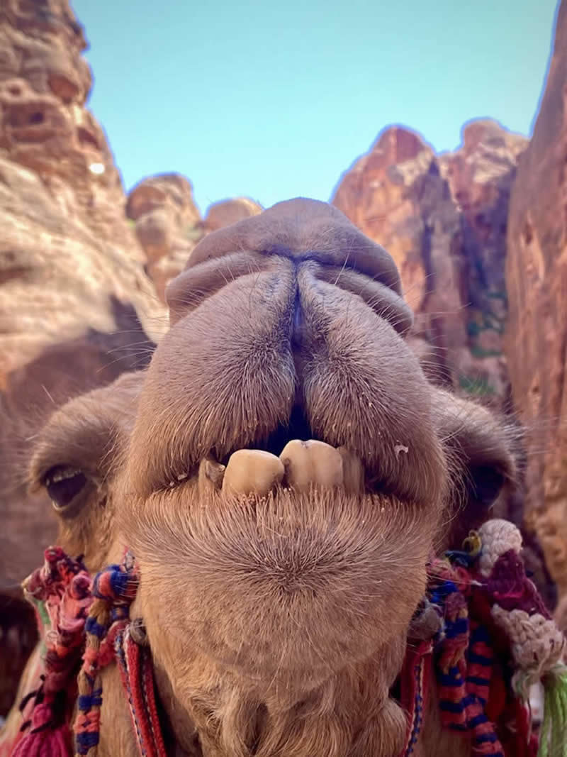 The Missing Mountain by Daniela Calo - Mobile Photography Awards Macro Winners