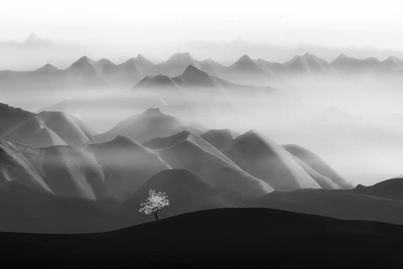 Spring is coming by Bin Zhang, China - Award-Winning Landscape Photos