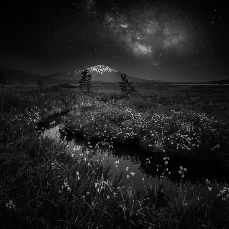 A Midsummer Night's Dream by Wei Lian, United States - Award-Winning Landscape Photos