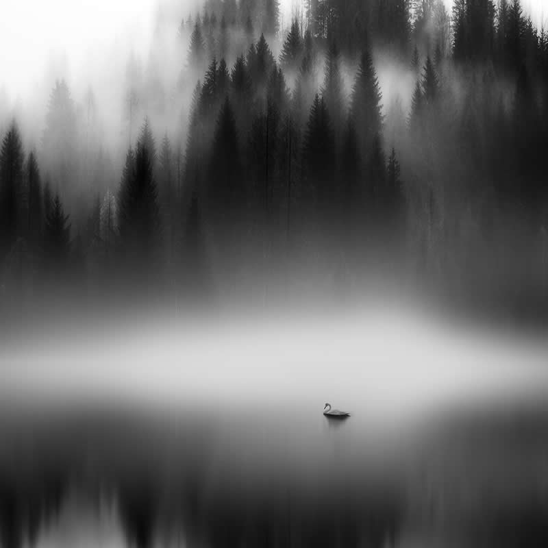 Swan Lake by Bin Zhang, China - Award-Winning Landscape Photos