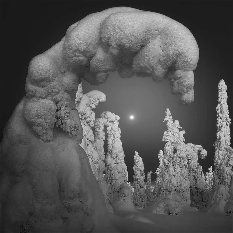 The curved tree by Andrea Maci, Italy - Award-Winning Landscape Photos