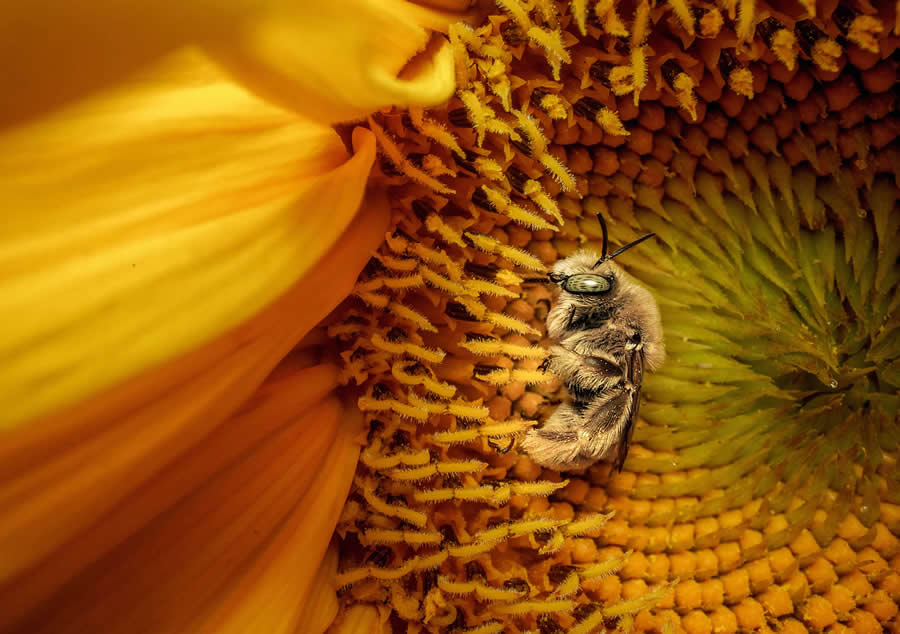 National Geographic Pictures of the Year 2025