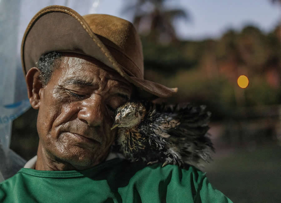 National Geographic Pictures of the Year 2025