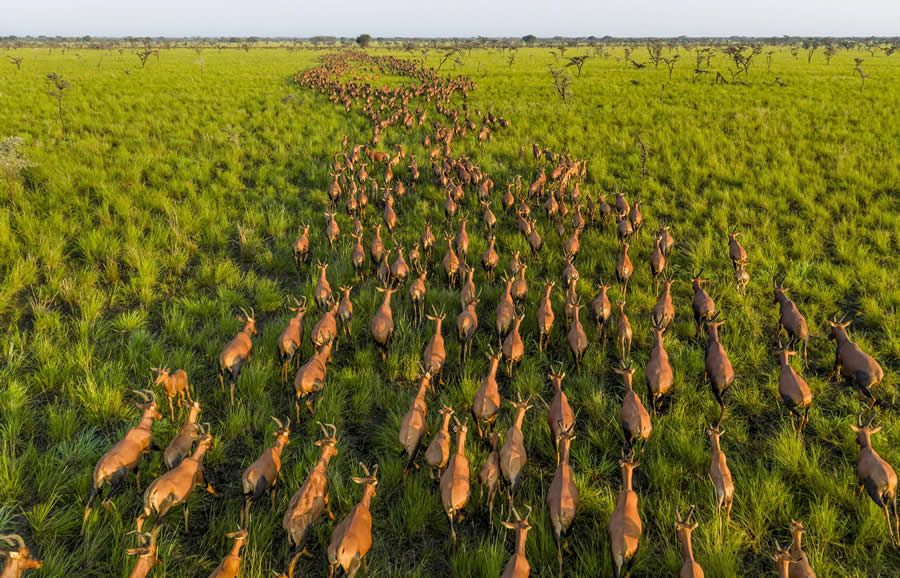 National Geographic Pictures of the Year 2025