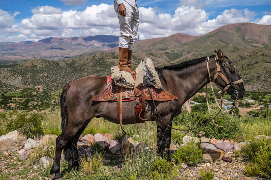 National Geographic Pictures of the Year 2025