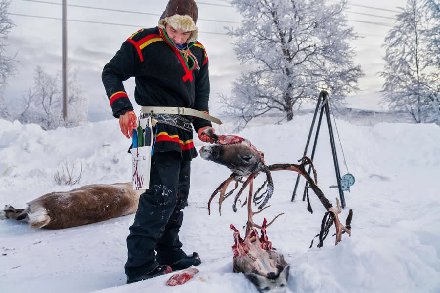 National Geographic Pictures of the Year 2025