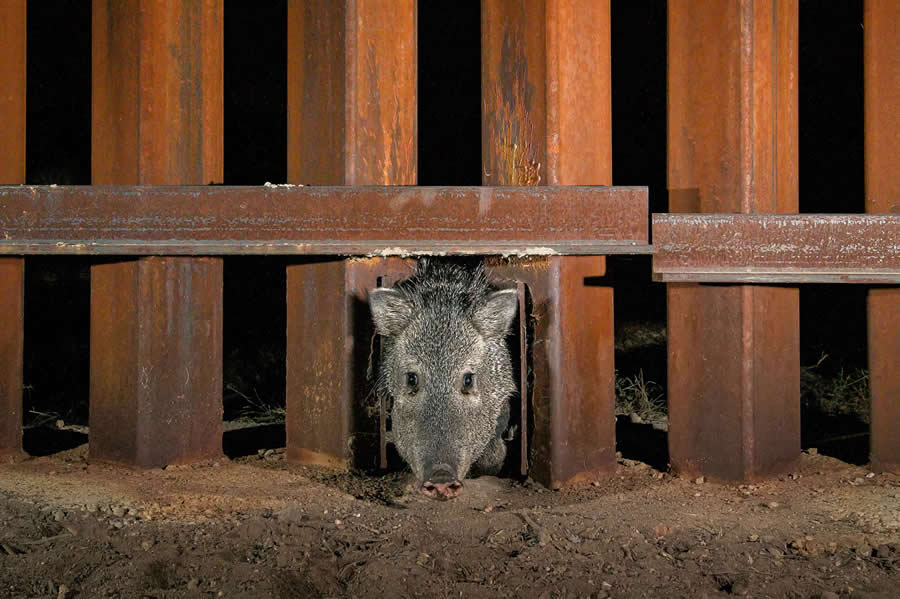 National Geographic Pictures of the Year 2025