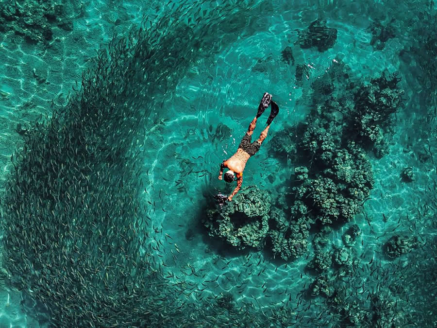 School Boy by Tiana Reimann, Papua New Guinea - 2025 Nature Conservancy Oceania Photo Contest Winners