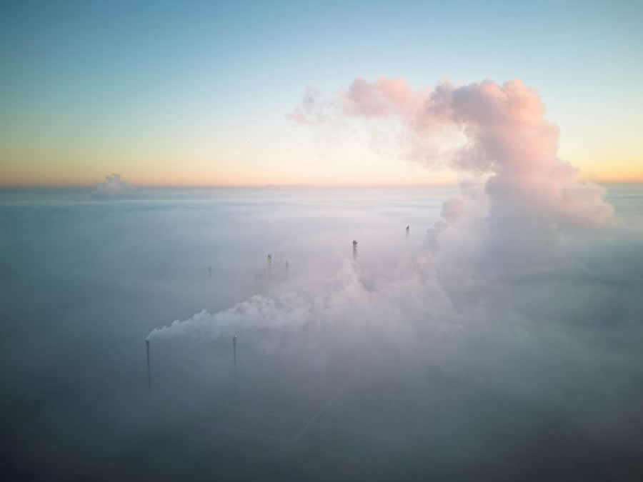 New Planet by Chi Chan, Australia - 2025 Nature Conservancy Oceania Photo Contest Winners