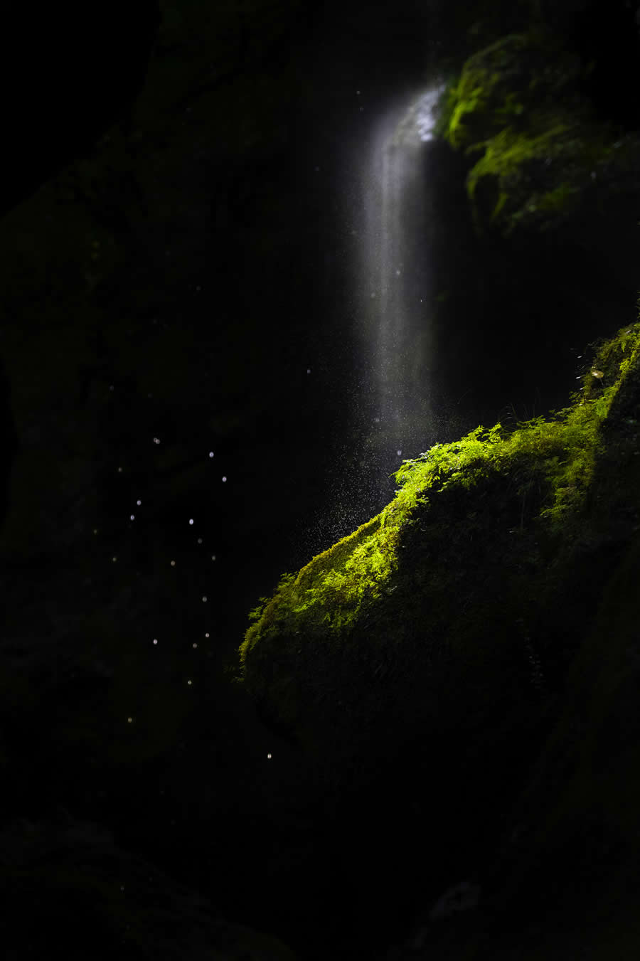Nightfall by Olivia Wenztell, New Zealand - 2025 Nature Conservancy Oceania Photo Contest Winners