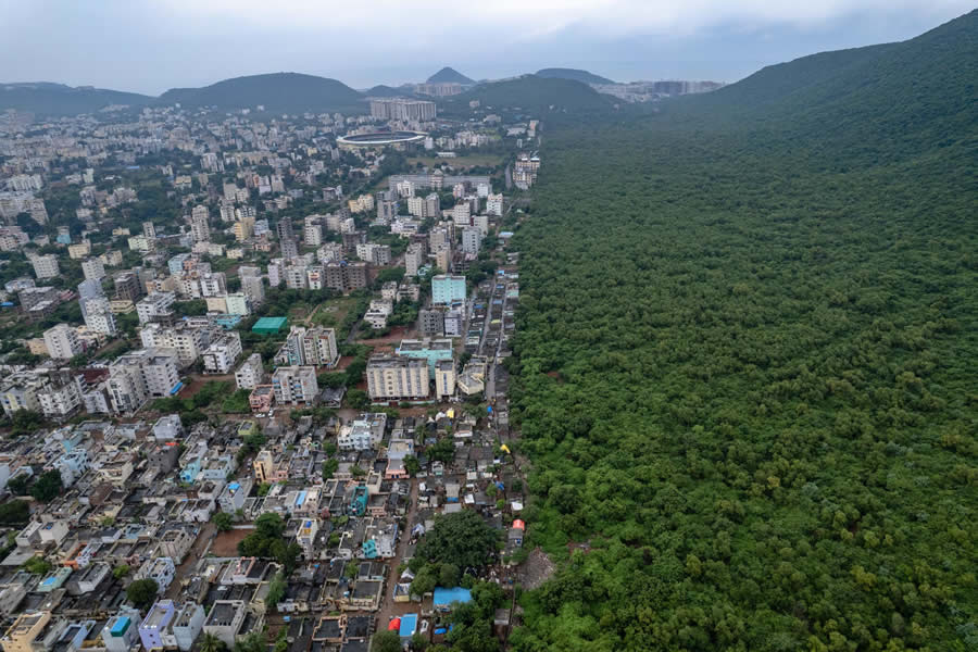 2025 Nature inFocus Photography Awards