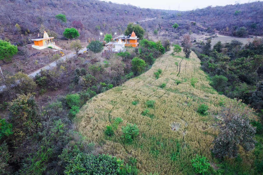 2025 Nature inFocus Photography Awards