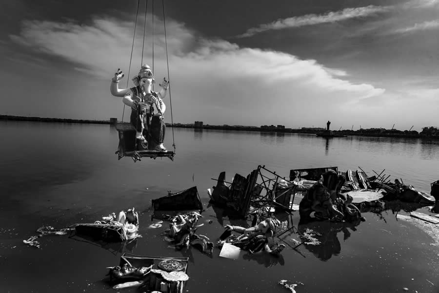 2025 Nature inFocus Photography Awards