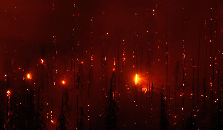 Inferno by Tobias Richter - Nature Photographer of the Year 2025 Winners
