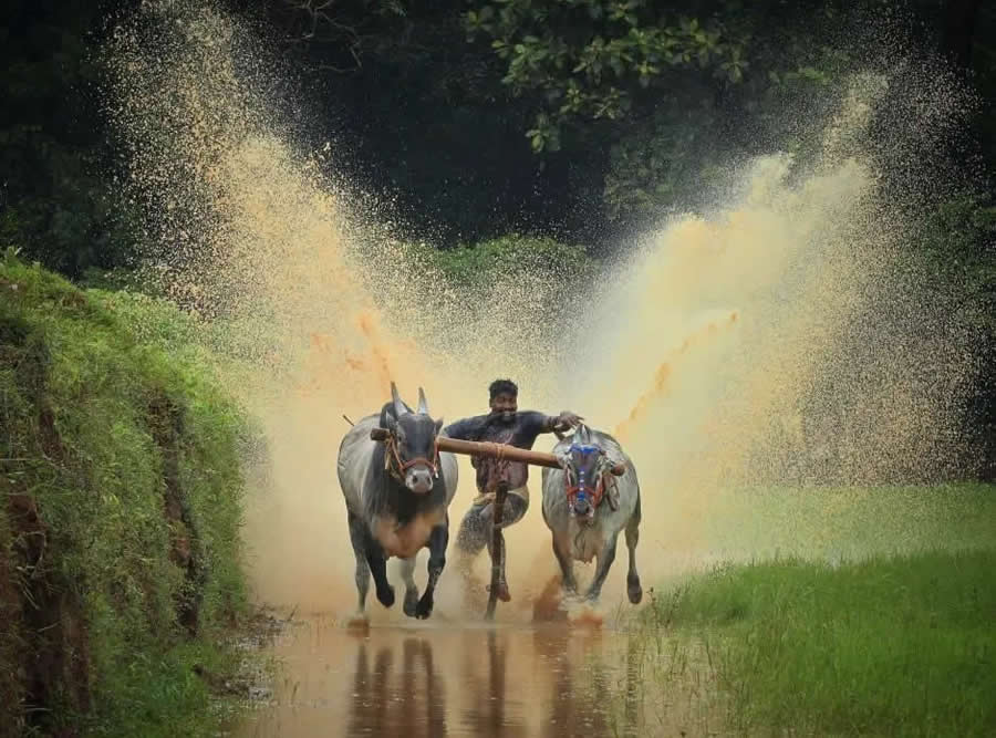 Oppo Photography Awards Winners