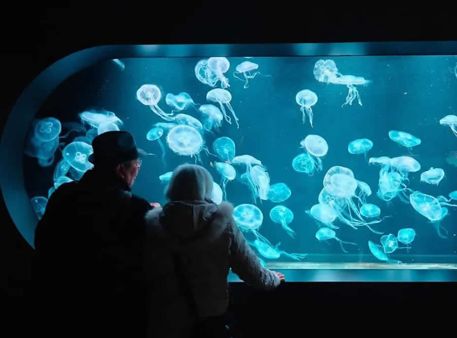 Oppo Photography Awards Winners