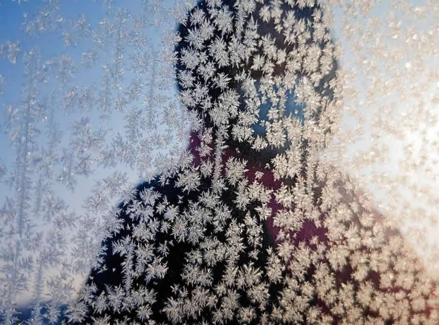 Oppo Photography Awards Winners