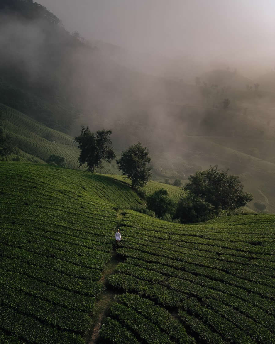 Hills by Anastasia Saul - People From A Drone 35 Photography Awards Winners