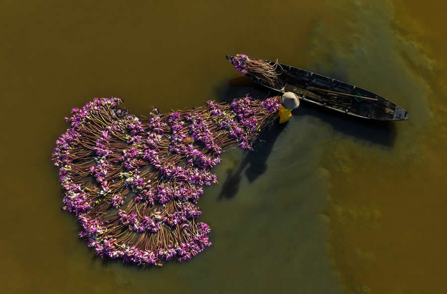 Flowers Net Tam Phan Minh Minh - People From A Drone 35 Photography Awards Winners
