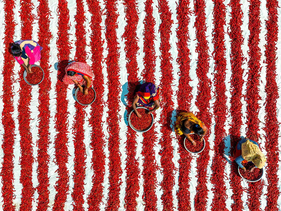 Women In Chilies by Saurabh Sirohiya - People From A Drone 35 Photography Awards Winners