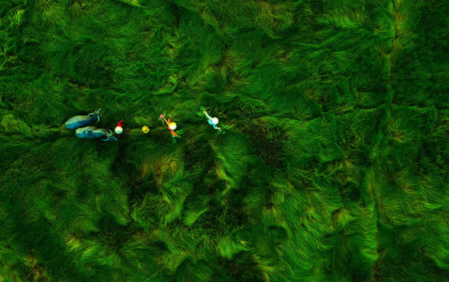 Crossing the grass fields by Khổng Giang - People From A Drone 35 Photography Awards Winners