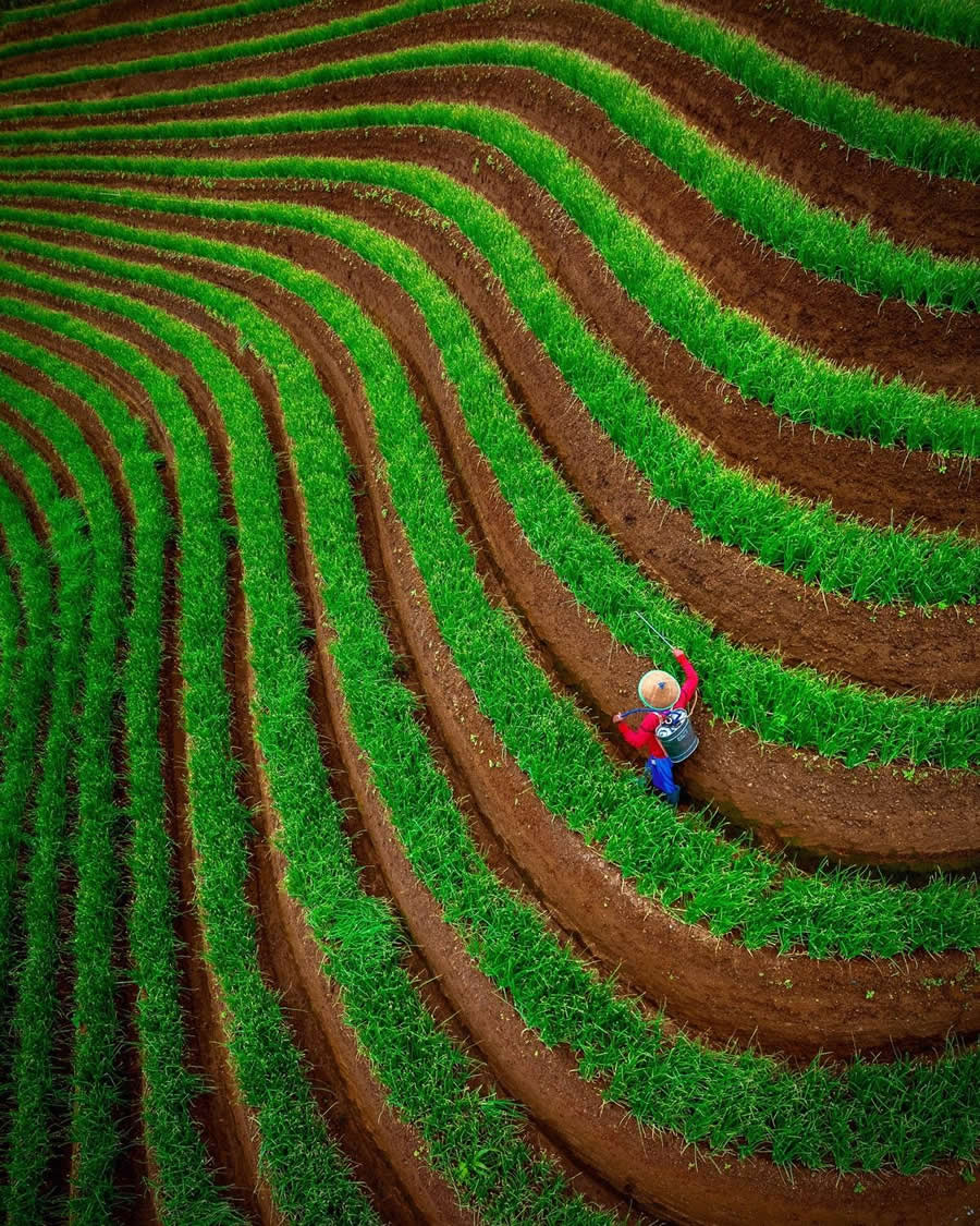 Onion Farmer by Iqbal Pangestu - People From A Drone 35 Photography Awards Winners
